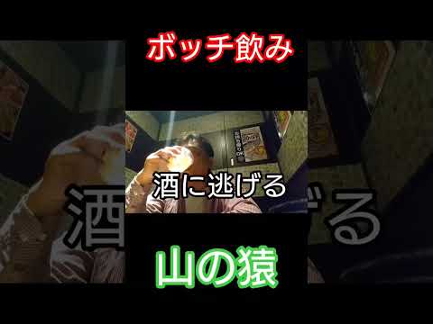 ¡Medidas perfectas para el control de infecciones! Beber solo en una habitación privada en un izakaya [Yamazaru] #Shorts