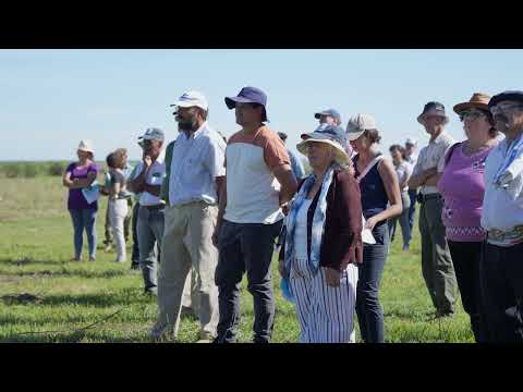 Proyecto FPTA 360 Sostenibilidad del ovino en sistemas ganaderos mixtos -  Karina Blanc -