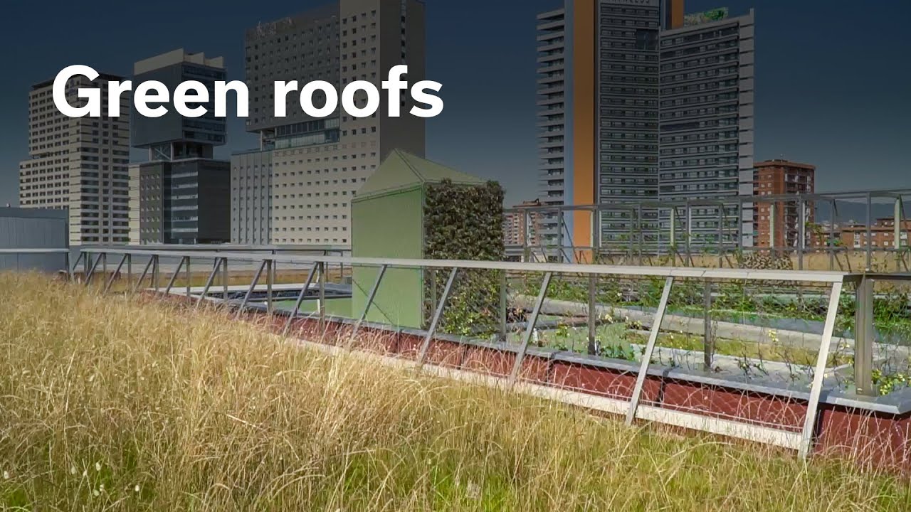 Green roofs (english)