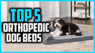 ✅Top 5 Best Orthopedic Dog Beds for Enhanced Support in 2026