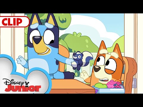 Bluey Season 3 Episode 23 "Family Meeting" Episode Clip | @disneyjr