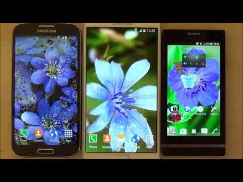 Butterfly live wallpaper Video