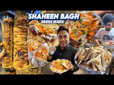 Best SHAHEEN BAGH Non Veg Street Food Walk - Part 1 | Delhi Street Food