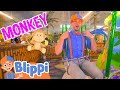Blippi Learns And Plays With Animals Jungle Indoor Playground Fun Educational Videos For Kids