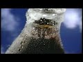 Coca Cola Cliff Diving TV Commercial