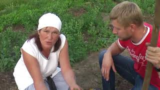 Почему у голубики покраснели листья?