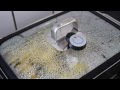 WMF Vitalis Dampfgarer Mit Cook Assist Im Test
