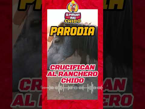 Qué parodia te gusta más? #eraznoylachokolata  #lacasadelasparodias