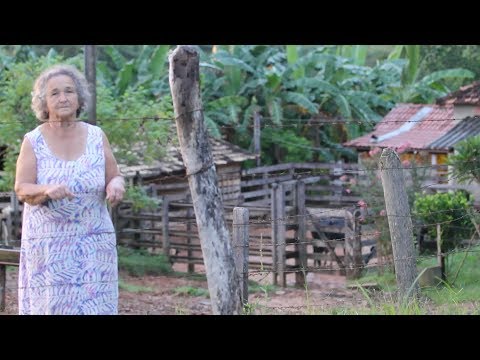 Ele Me Chamava de Rosa (Direção: Bemti)