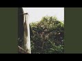 Climbing Green