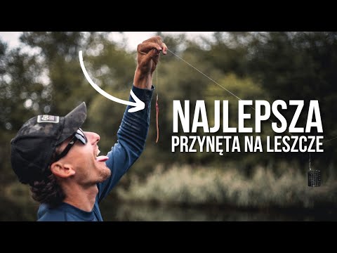 Najlepsza przynęta na leszcze!