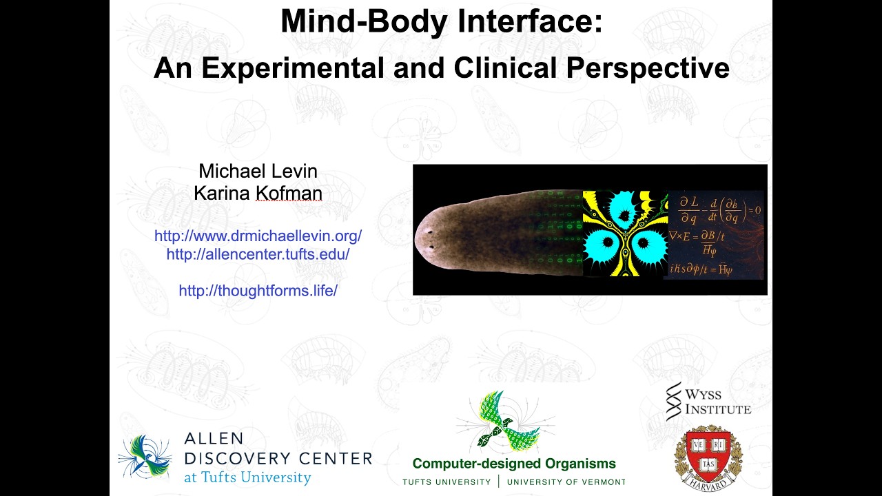 "Mind-Body Interface: an experimental and Clinical Perspective" by Michael Levin and Karina Kofman