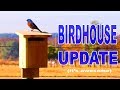 Bluebird House with Slot Entry - Update🐥! Not Your Grandpa's Bluebird House Plans!