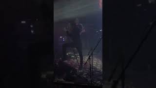 Canary Yellow- Deafheaven