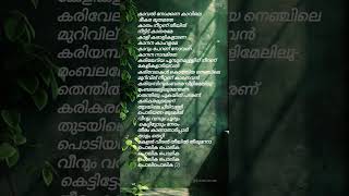 Download lagu Polika polika#song#malayalam lyrics#shorts mp3