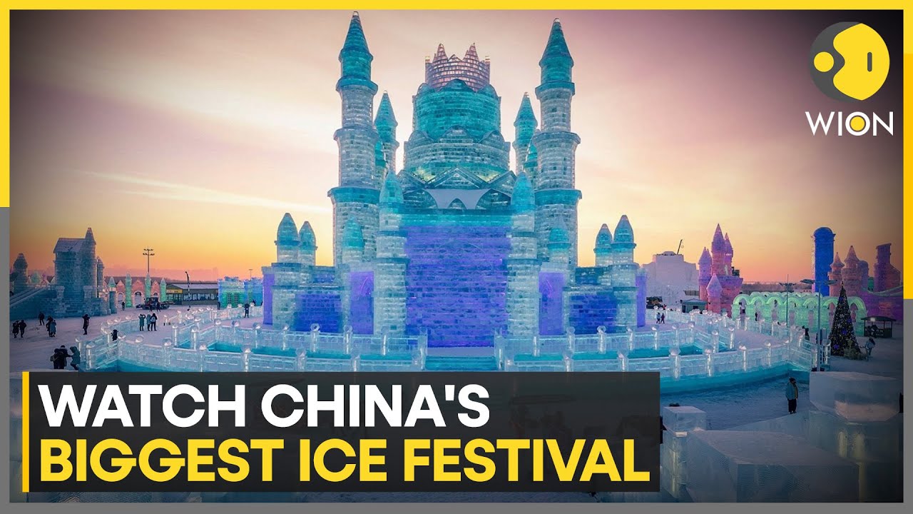 Fairy Tale Theme Transforms Harbin City Into Frozen Wonderland | WION News