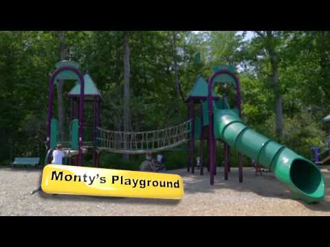youtube embeded image