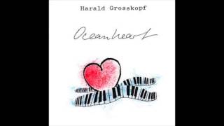 Harald Grosskopf - While I'm Walking
