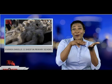 Farmer enrolls 15 sheep in primary school (ASL - 5.9.19)