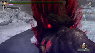 MH3G HD ☆怒り喰らうイビルジョー☆ 大剣ソロ討伐(9:31)