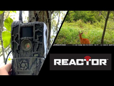 StealthCam Reactor Review - Best $100 Cellular Trail Camera?