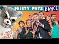 Feisty Pets: The Dance [The Feisty Freak]