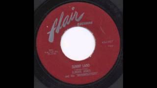 ELMORE JAMES - SUNNY LAND - FLAIR