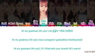 IZ*ONE (아이즈원) - &#39;Hey. Bae. Like it. / Sunflower&#39; (해바라기) Lyrics [Color Coded_Han_Rom_Eng]