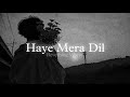 Haye Mera Dil Slowed Reverb Alfaaz Honey Singh
