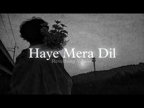Haye Mera Dil (Slowed + Reverb) | Alfaaz, Honey Singh