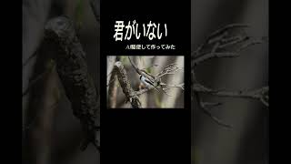 「君がいない」という曲のMVをAI駆使して作ってみた