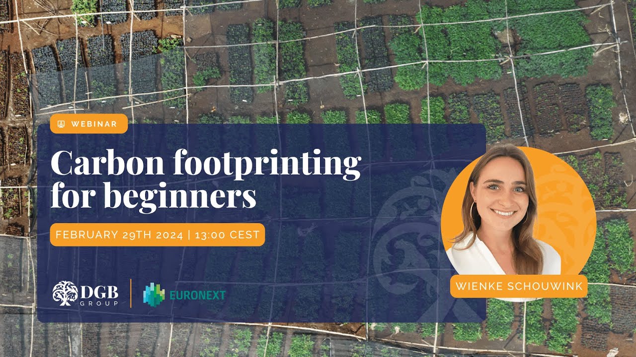 Understanding Carbon Footprinting for Beginners