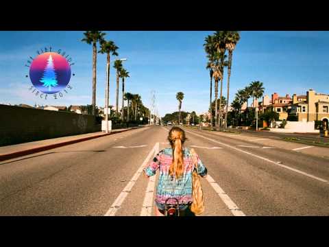 Birdy - Words as Weapons (Nico Pusch Bootleg Remix)