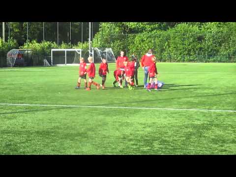 Intro DOSC F1 - AFC Quick F1