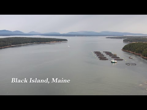 Raising sustainable, healthy, local seafood in the Gulf of Maine