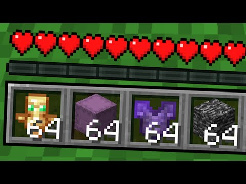 shaneistyping - How Glitches Ruined This Minecraft Server