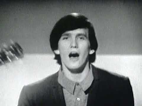 WAYNE FONTANA & THE MINDBENDERS- "GAME OF LOVE"(LYRICS)