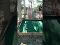 Rose hole in 1