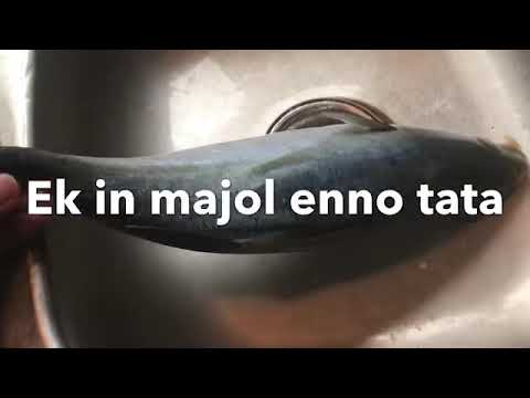 Ek IN MAJOL ENNO TATA
