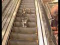 Kachny na eskalatoru (Tearon) - Známka: 1, váha: velká