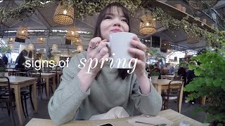 signs of spring
