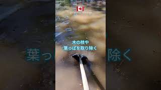 🇨🇦 道路が冠水!?男子チーム出動!