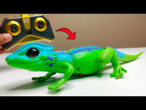 RC Realistic Lizard Prank Gadget Unboxing & Testing - Chatpat toy tv