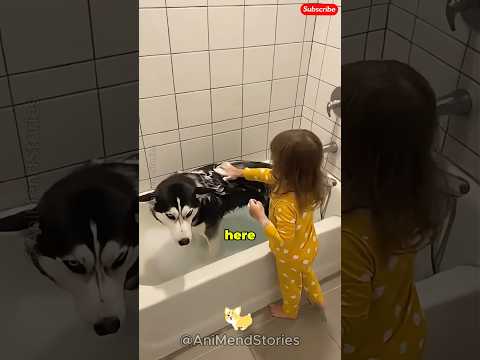 Caught Her Pumping LIVE Fish Into My House! 😡