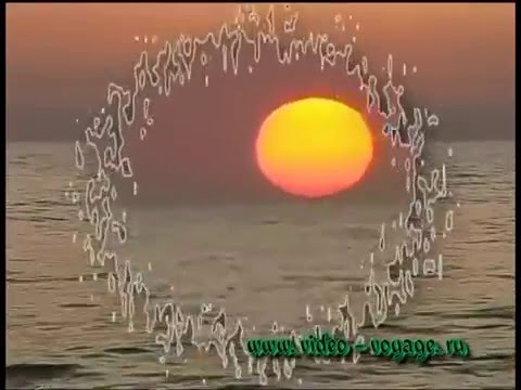 Отдых в Лазаревском