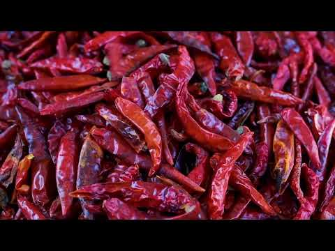 Red organic kashmiri chili powder