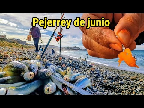 FISHING CRAZY! 🤯 40 FISH in ONE MORNING from the PATAGONIAN COAST