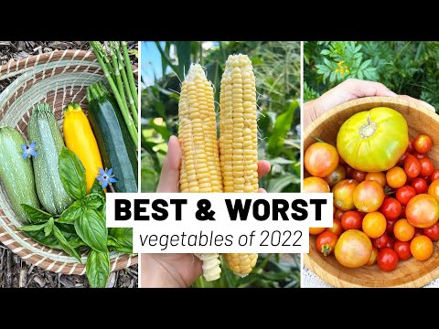 , title : '5 BEST and 5 WORST vegetable varieties we grew in 2022 // GroundedHavenHomestead'