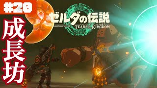 あれが…ゴロンティア!?ユン坊に託された硬く偉大な想い#20【ゼルダの伝説 ティアーズ オブ ザ キングダム】
