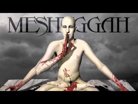 Meshuggah - Dancers To A Discordant System: 8 Bit